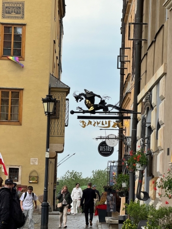 IMG_2967.jpeg