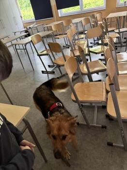 IMG_3912.jpeg