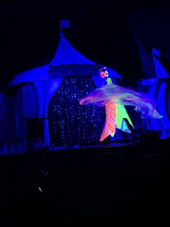 553568347_802059982188131_9054887201290037315_n