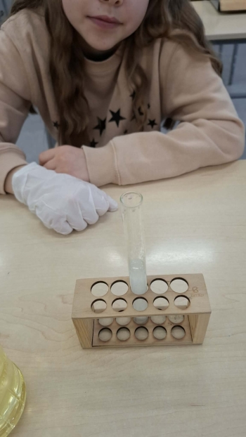 98568f1d-d7ea-4737-b3b5-94d43d087f74