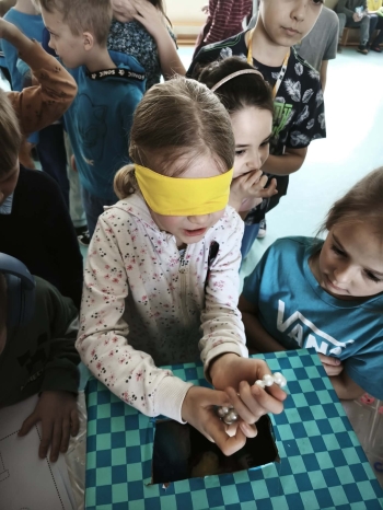 69dc63bf-7a8f-4f01-a220-3f7c5c680764