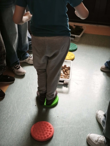 a36e0129-1537-4069-9132-2f1fdc7d0556