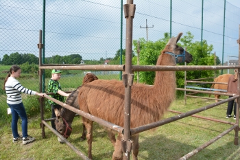 DSC_4119.JPG