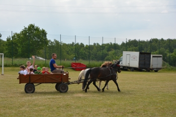 DSC_4133.JPG