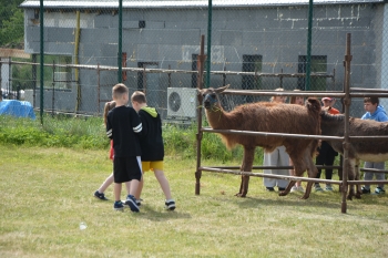 DSC_4185.JPG