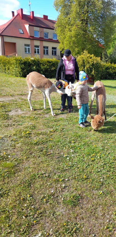 Biszkopt i Korek w przedszkolu