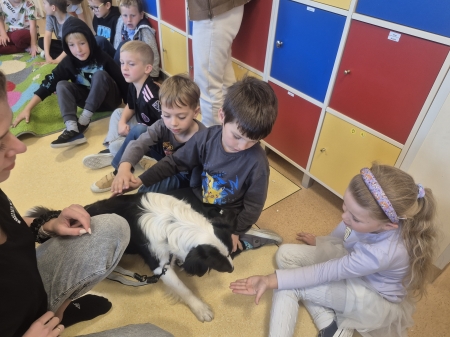 ''Cztery Łapy i Ja'' w grupie OA  